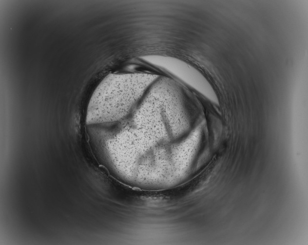 X0000088920693200707061403