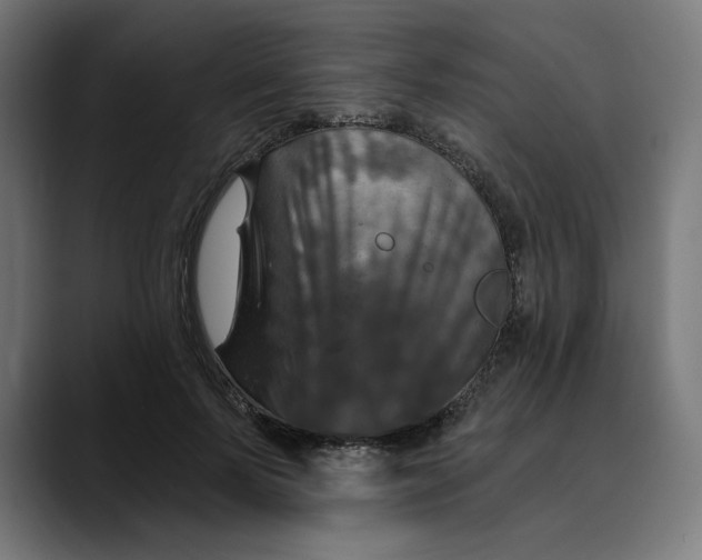 X0000088920695200707061403