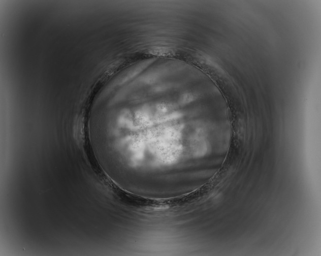 X0000088920696200707061403