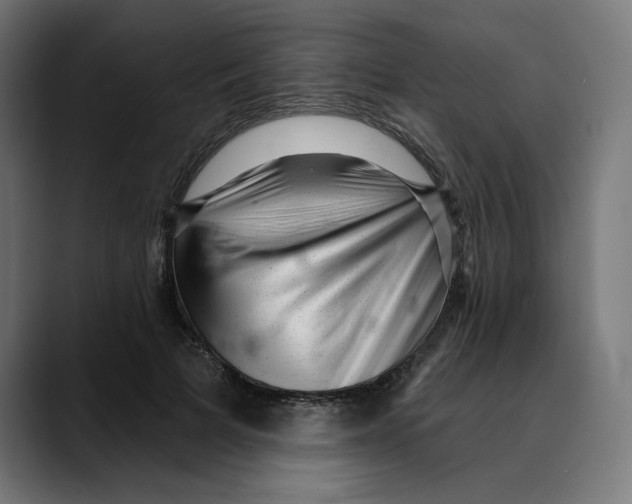 X0000088920697200707061403