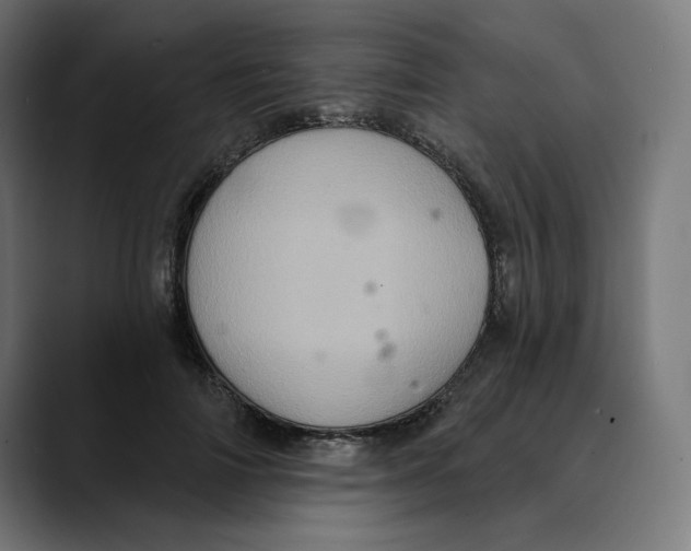 X0000088920698200707061403