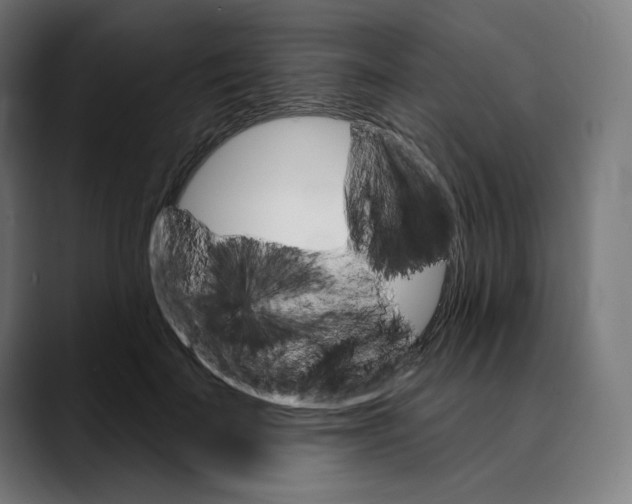 X0000088920699200707061403