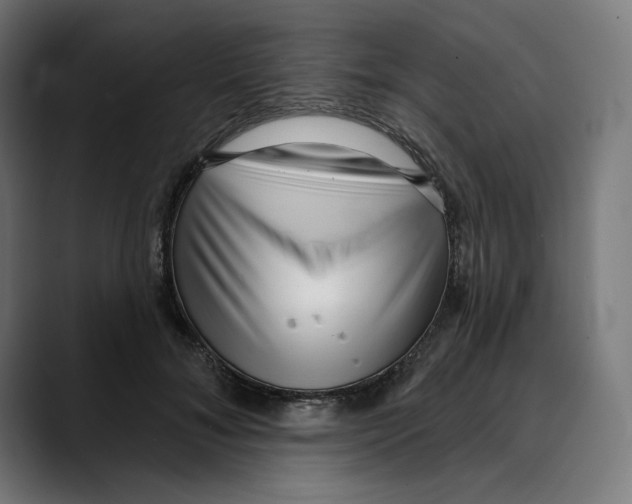 X0000088920700200707061403
