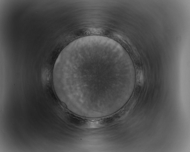 X0000088920701200707061403