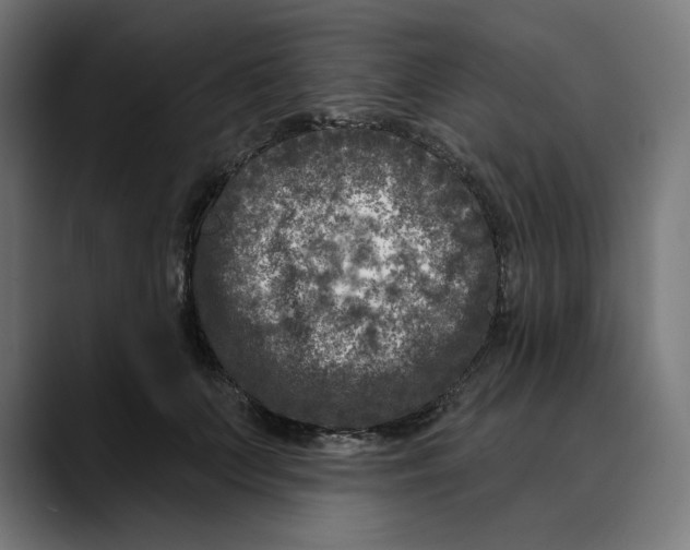 X0000088920703200707061403