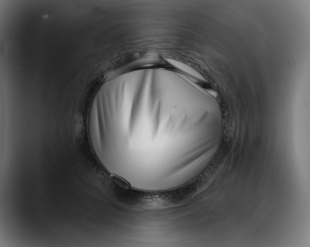 X0000088920704200707061403