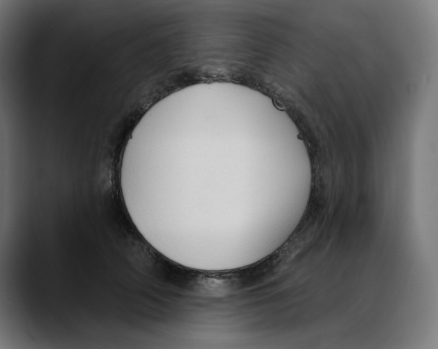X0000088920706200707061403
