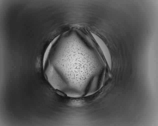 X0000088920708200707061403
