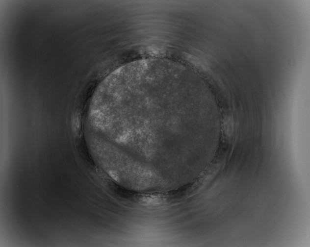 X0000088920709200707061403
