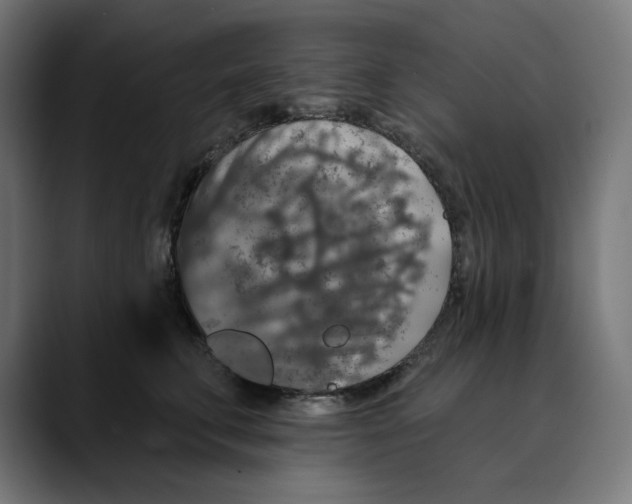 X0000088920711200707061403