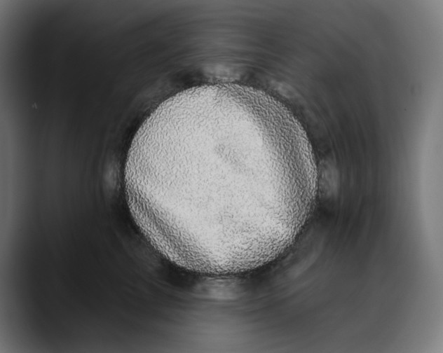 X0000088920713200707061403