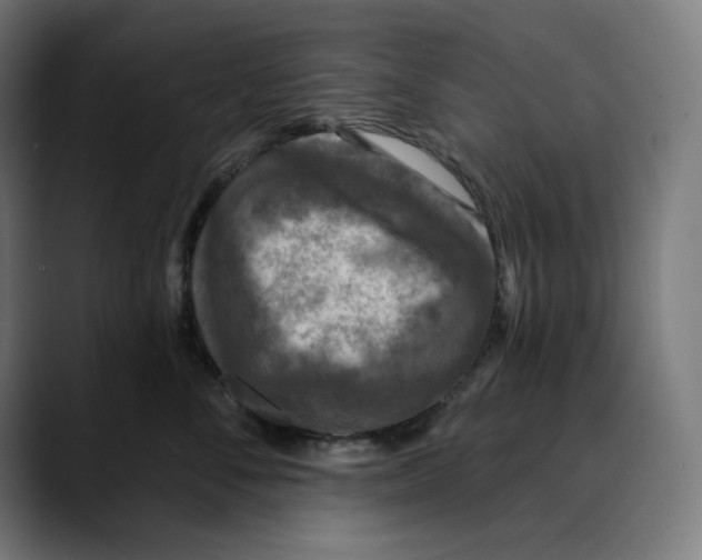 X0000088920716200707061403