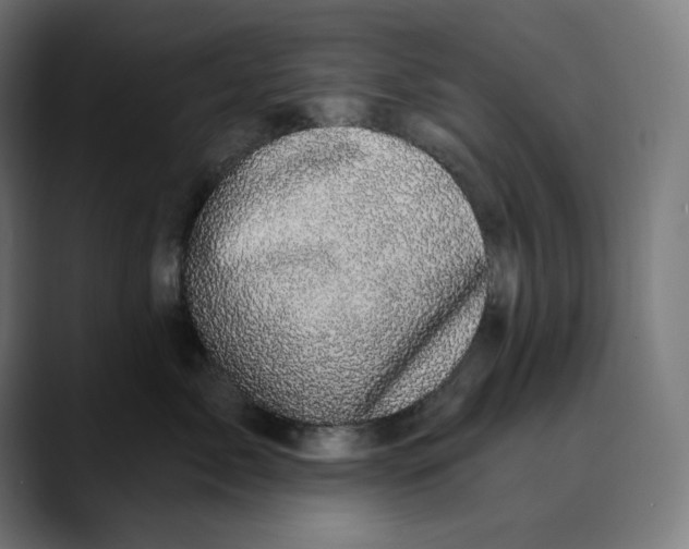 X0000088920717200707061403