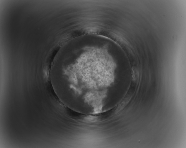 X0000088920718200707061403