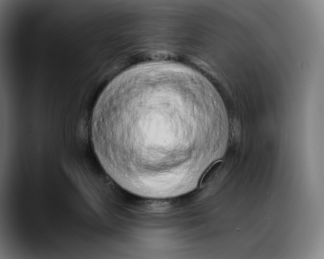 X0000088920719200707061403