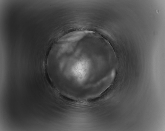 X0000088920720200707061403