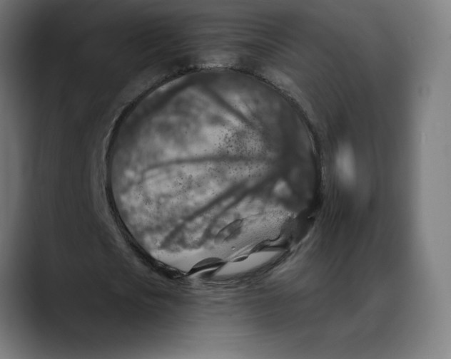 X0000088920721200707061403