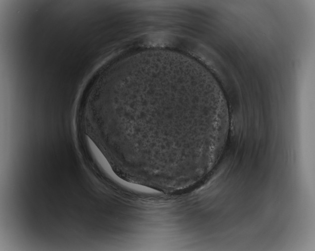 X0000088920722200707061403
