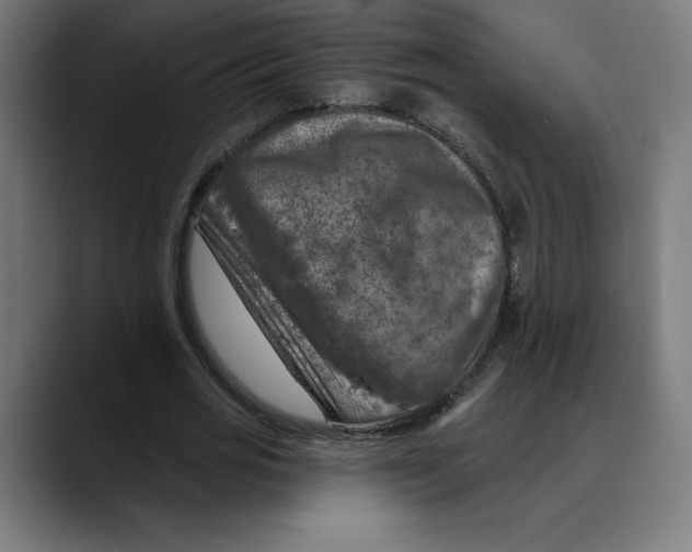 X0000088920725200707061403