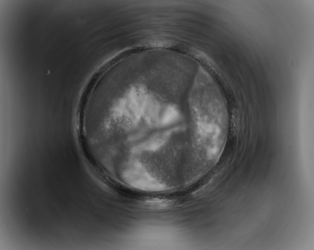 X0000088920726200707061403