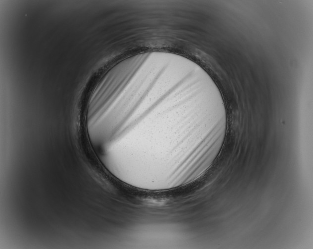 X0000088920727200707061403