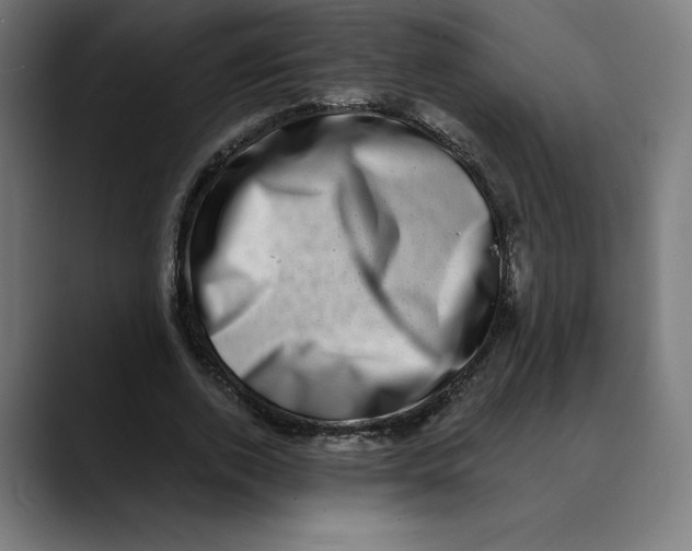X0000088920728200707061403
