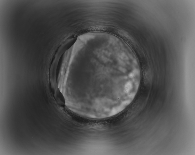 X0000088920729200707061403