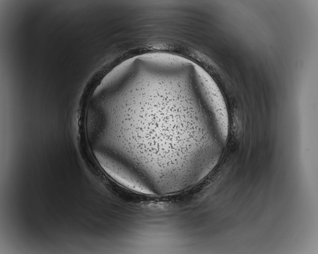 X0000088920730200707061403