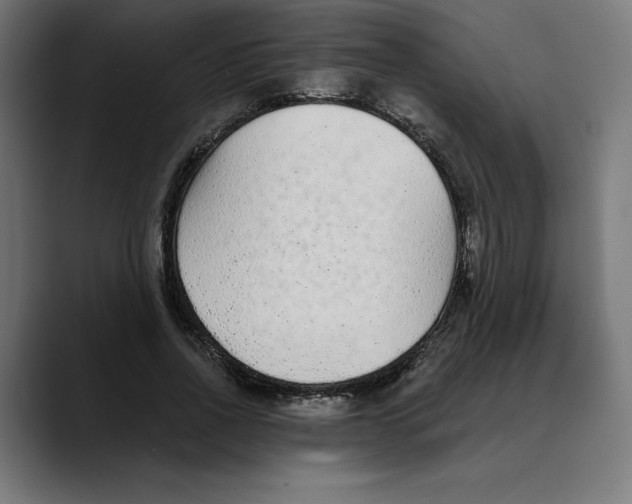 X0000088920734200707061403