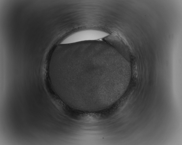 X0000088920736200707061403