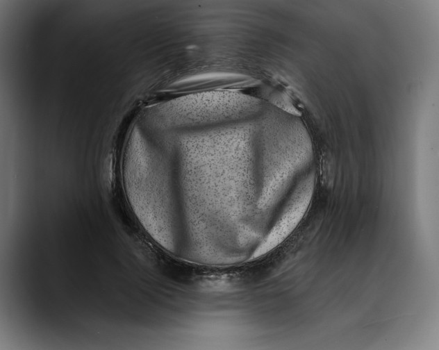 X0000088920740200707061403