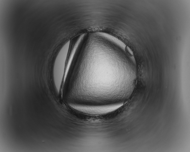 X0000088920742200707061403