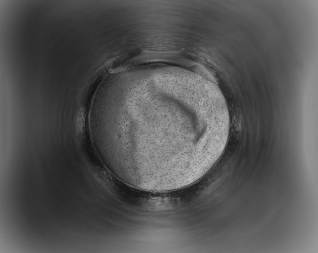 X0000088920744200707061403