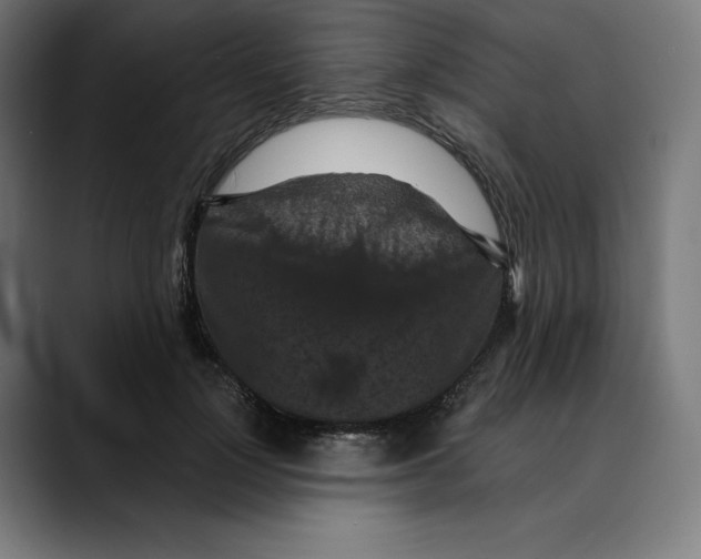 X0000088920748200707061403
