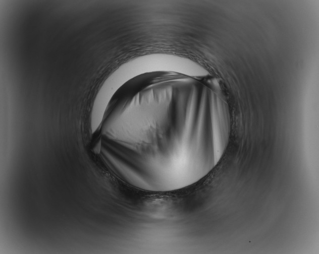 X0000088920750200707061403
