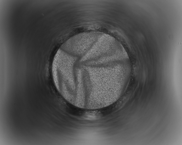 X0000088920757200707061403