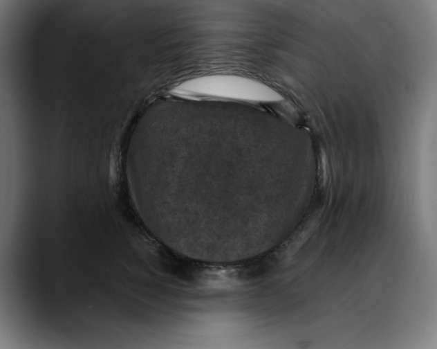 X0000088920760200707061403
