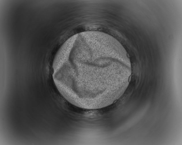 X0000088920761200707061403