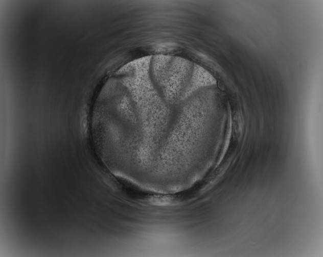 X0000088920762200707061403