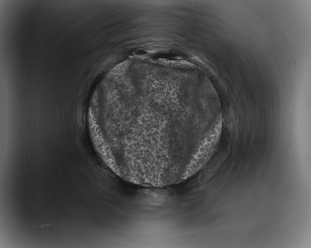 X0000088920763200707061403