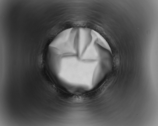 X0000088920764200707061403