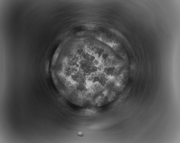 X0000088920765200707061403