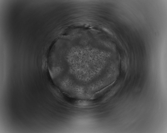 X0000088920766200707061403