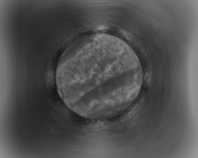 X0000088920772200707061403