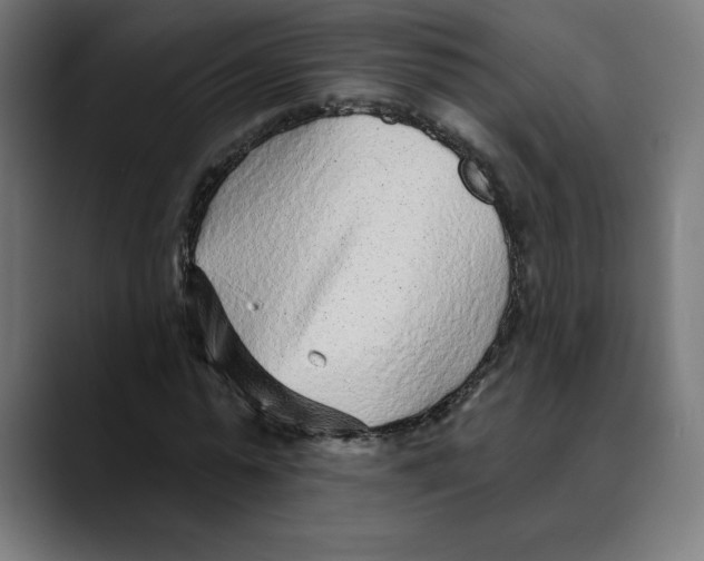 X0000088920775200707061402
