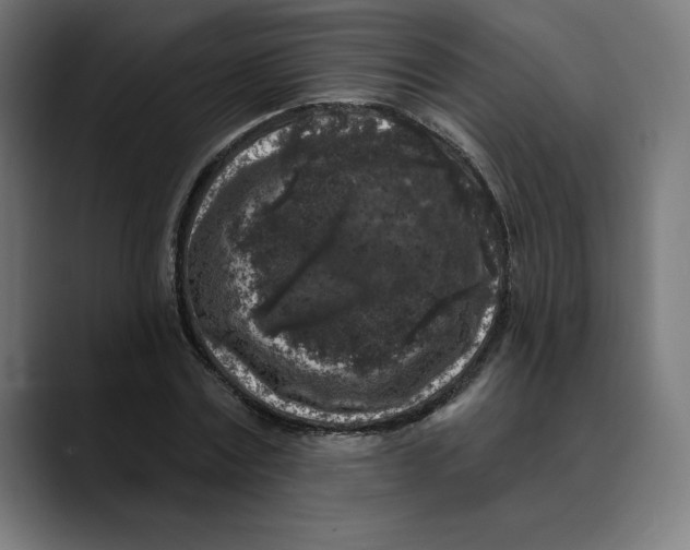 X0000088920779200707061402