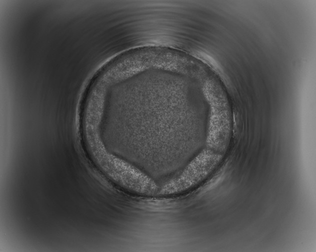 X0000088920780200707061402