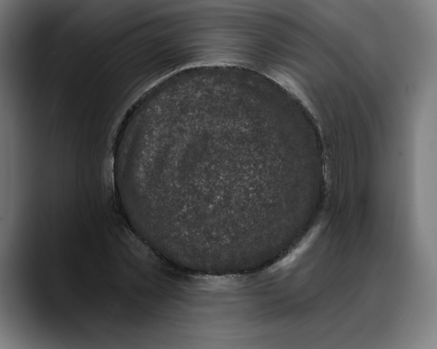 X0000088920781200707061402