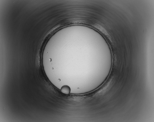 X0000088920782200707061402