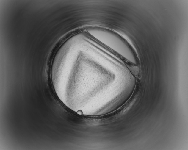 X0000088920783200707061402